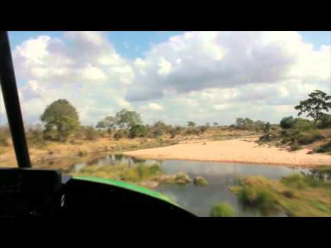 Planes for Rhinos