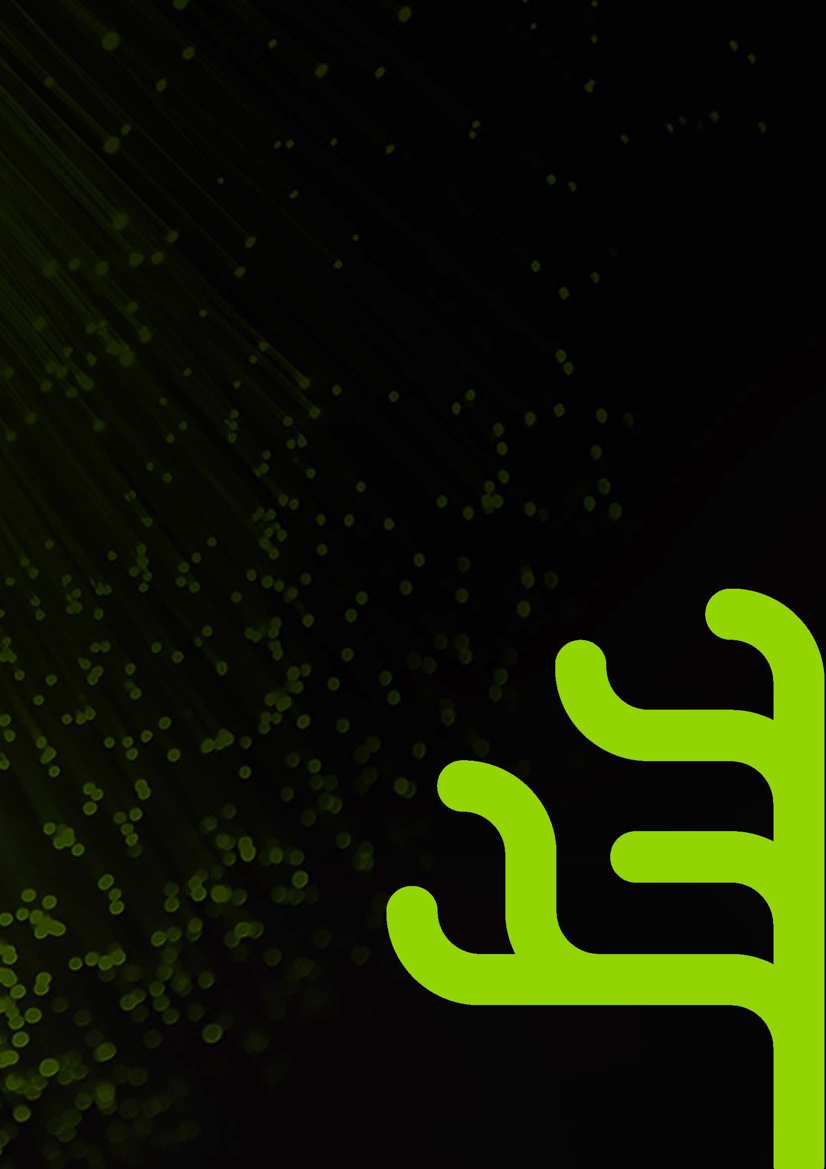 Braintree Modern Applications Whitepaper 2021 Page 15