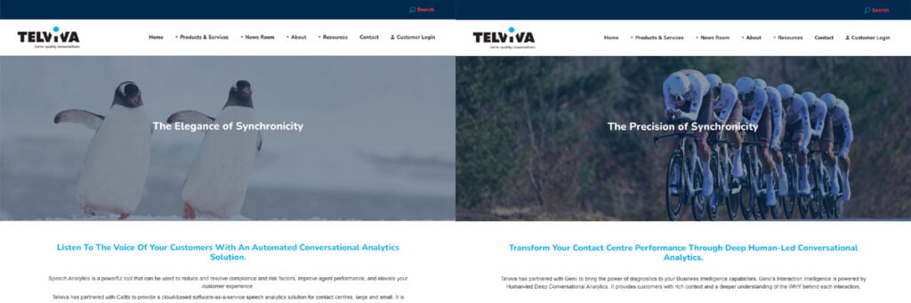 Strengthening brand credibility and driving lead generation for Telviva through PR and digital marketing Using websites to reach the right target audience with the right messaging